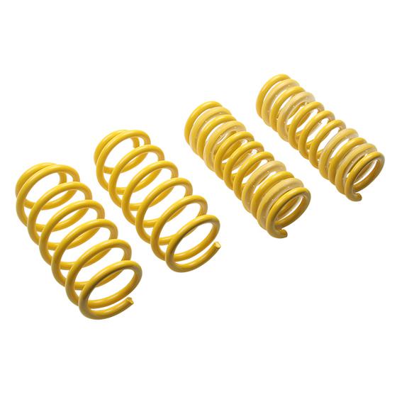 ST Sport Lowering Springs 06-10 Charger, 08-10 Challenger V8 - Click Image to Close